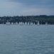 DSC00261.JPG