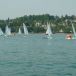 DSC05766.JPG