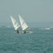 DSC05793.JPG