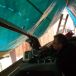 DSCF2064.JPG