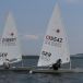 IMG_5011.jpg