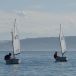 DSC04166.JPG