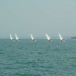 DSC05794.JPG