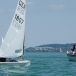 DSC03335.JPG