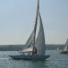 YachtPokal_08_0020.jpg