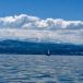 IMG_2651.jpg