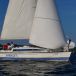 DSC00532.jpg