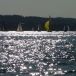 P1010040.jpg