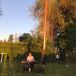 IMG-20200728-WA0031.jpg