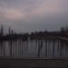 543_028.jpg