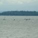 DSC05834.JPG