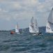 DSC_0103.JPG