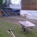IMAG0193.jpg