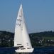 DSC00517.jpg